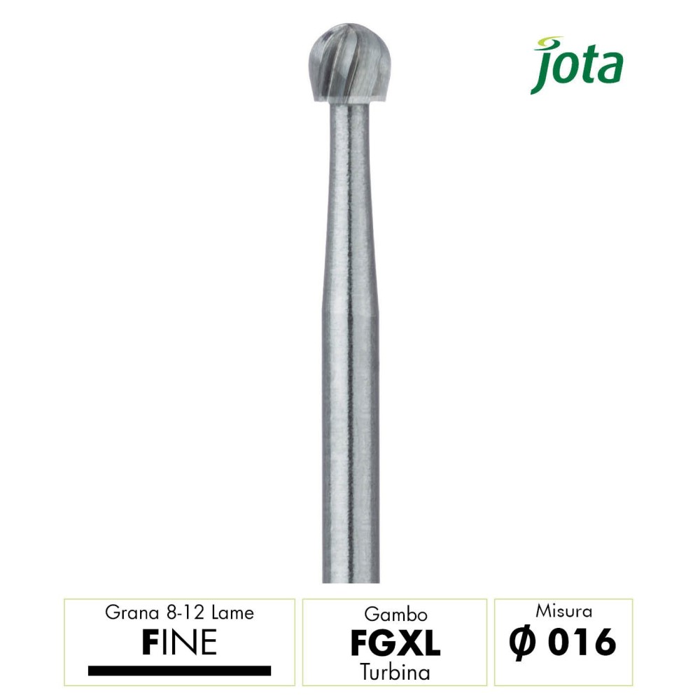 C1.FGXL.016