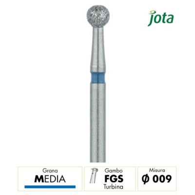 801.FGS.009