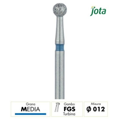 801.FGS.012