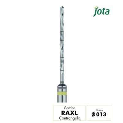 B1001