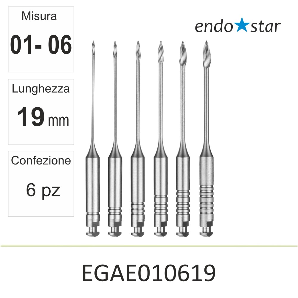 EGAE010619