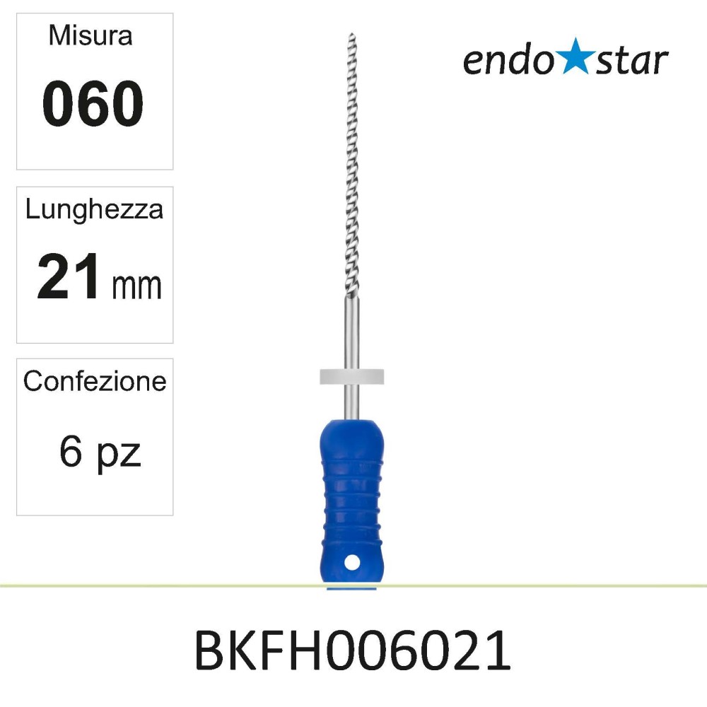 BKFH006021