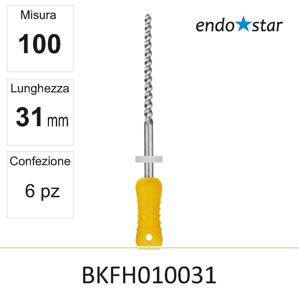 BKFH010031