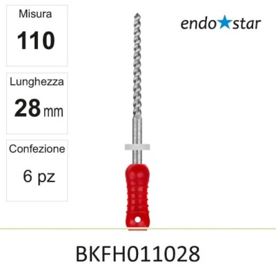 BKFH011028