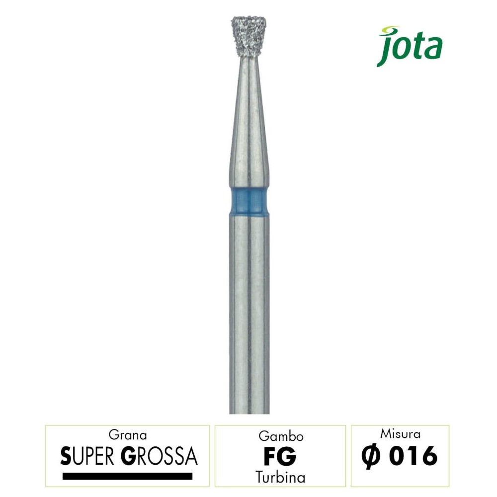 805SG.FG.016