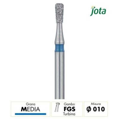 808.FGS.010