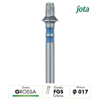 828TG.FGS.017