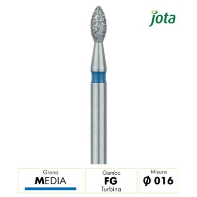 831.FG.016