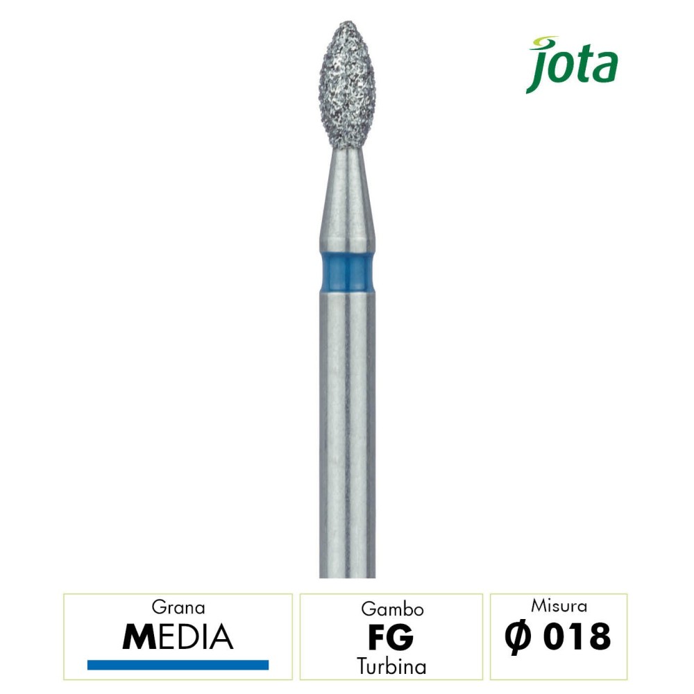 831.FG.018