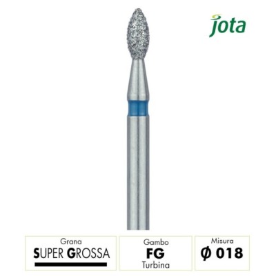 831SG.FG.018