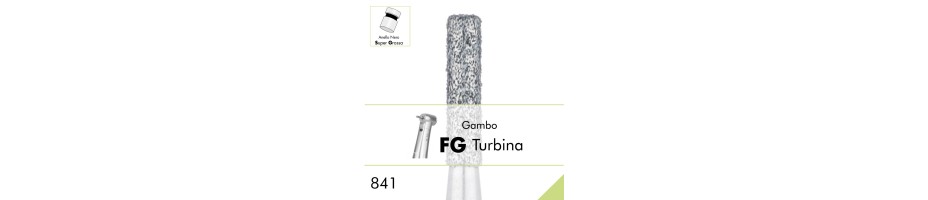 841SG.FG