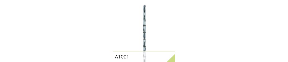 A1001