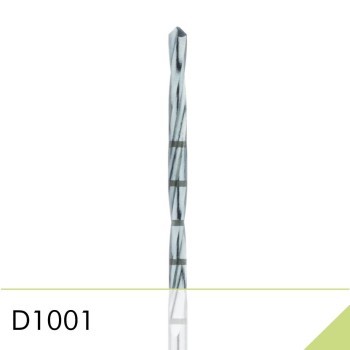 D1001