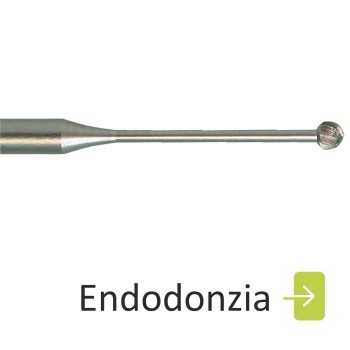 Endodonzia