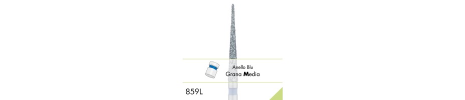 859L