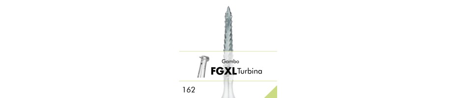 162.FGXL
