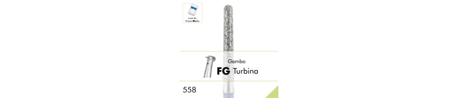 558.FG