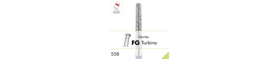 558F.FG