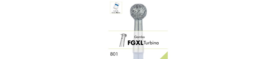 801.FGXL