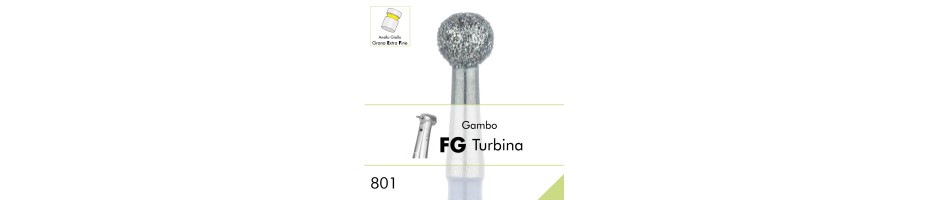 801EF.FG