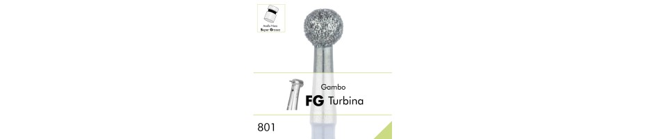 801SG.FG