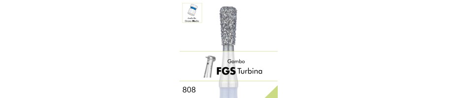 808.FGS