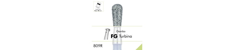 809RSG.FG
