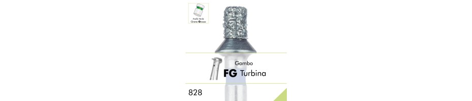 828G.FG