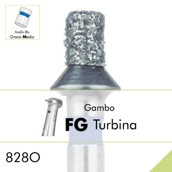 828O.FG