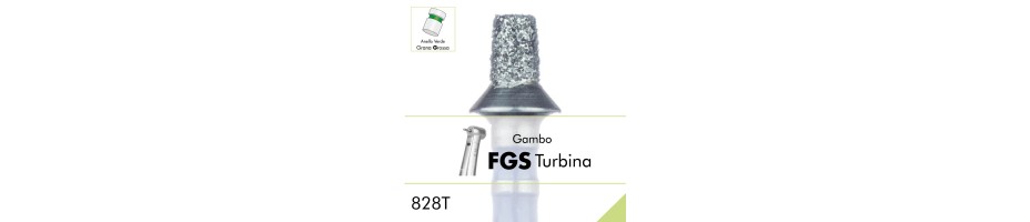 828TG.FGS