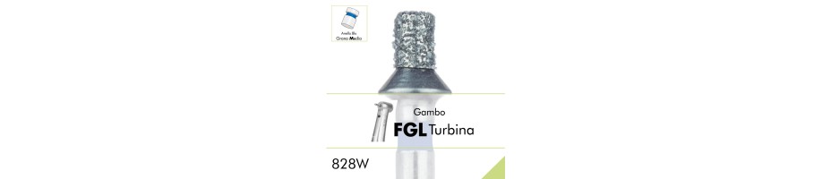 828W.FGL