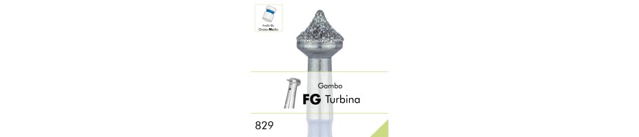 829.FG