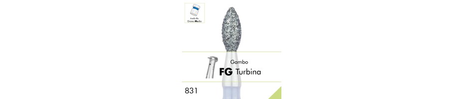 831.FG