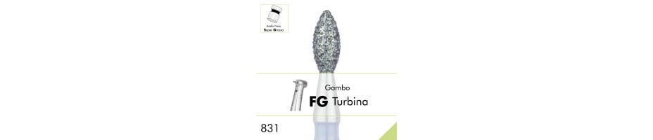 831SG.FG