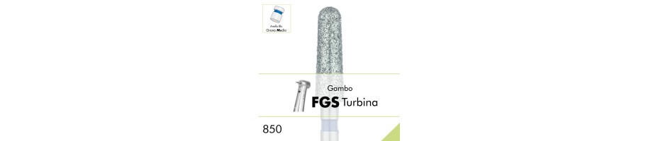 850.FGS