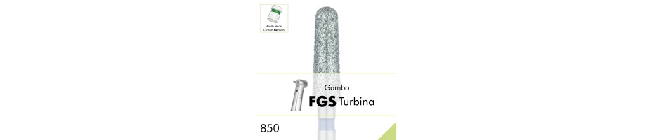 850G.FGS