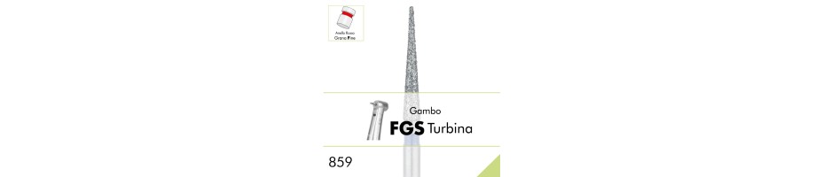 859F.FGS