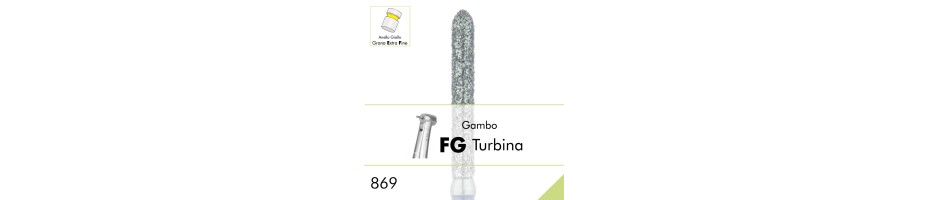 869EF.FG