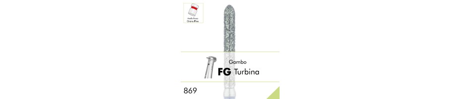 869F.FG