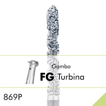 869P.FG