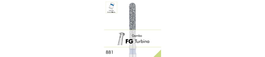 881.FG