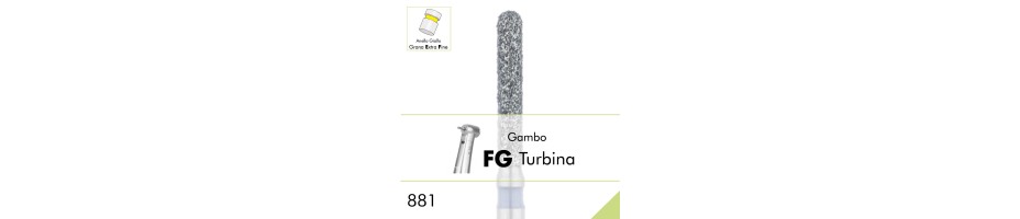 881EF.FG