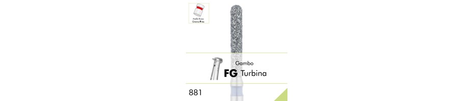 881F.FG