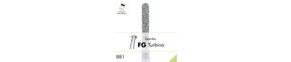 881SG.FG