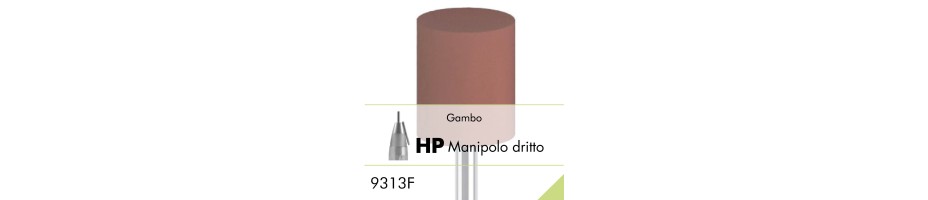 9313F.HP