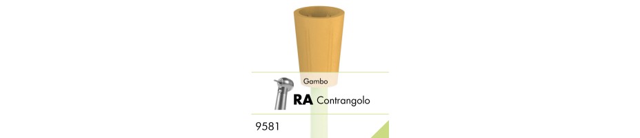9581.RA