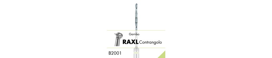 B1001.RAXL