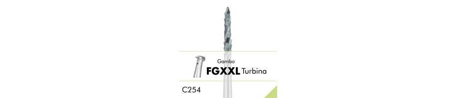 C254.FGXXL