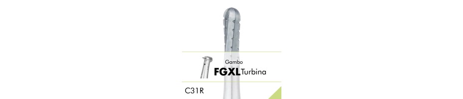 C31R.FGXL