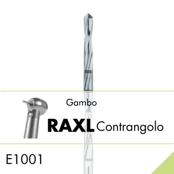 E1001.RAXL